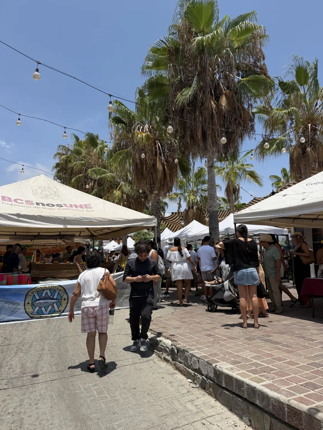 Festival visitors walking among food tents beneath palm trees in the Todos Santos plaza
