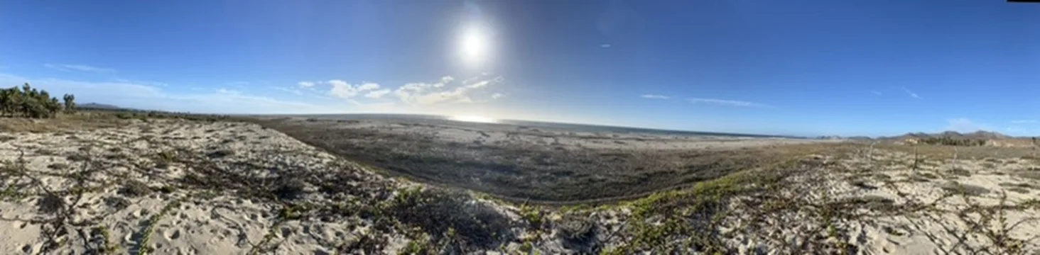 Open coastal terrain south of Elías Calles