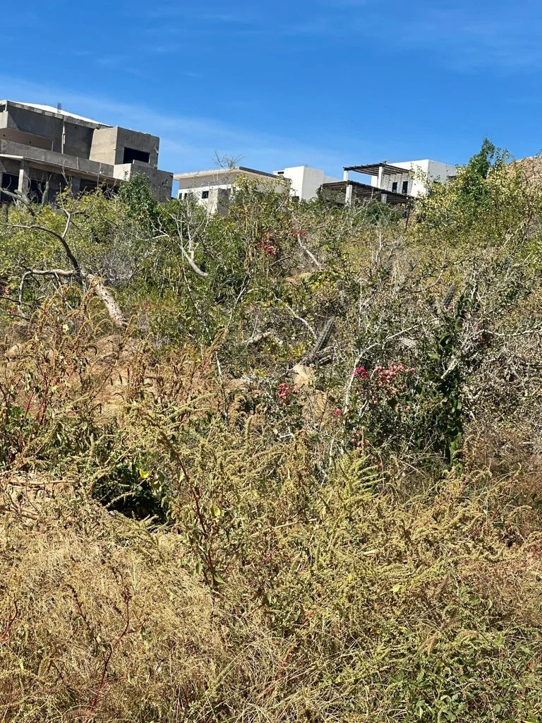 View Northeast at Lot Sunrise 3022 in Cerritos