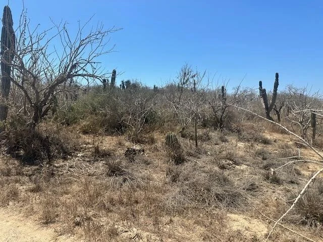 View from Street level at Lote 1475 in Cerritos