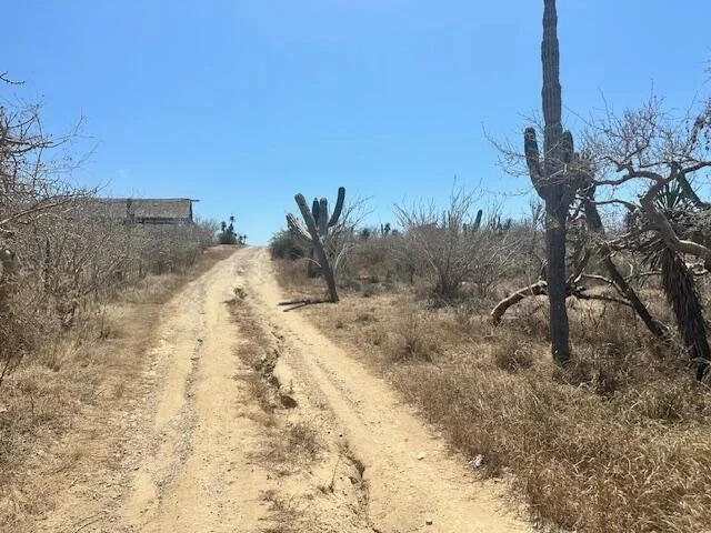 View to South at Lote 1475 in Cerritos