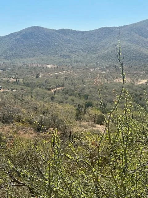 View to Southeast at Lote 801 in Cerritos