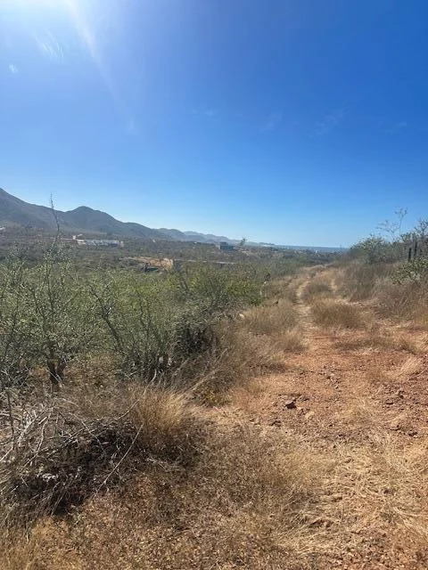 View to Southwest at Lote 801 in Cerritos