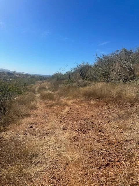 View from lot at Lote 801 in Cerritos