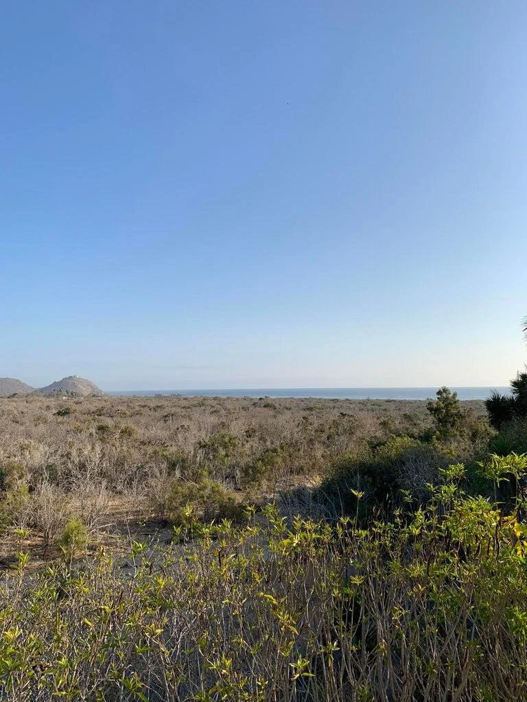 Lote de la Sierra at Rancho Nuevo Lote de la Sierra in Cerritos