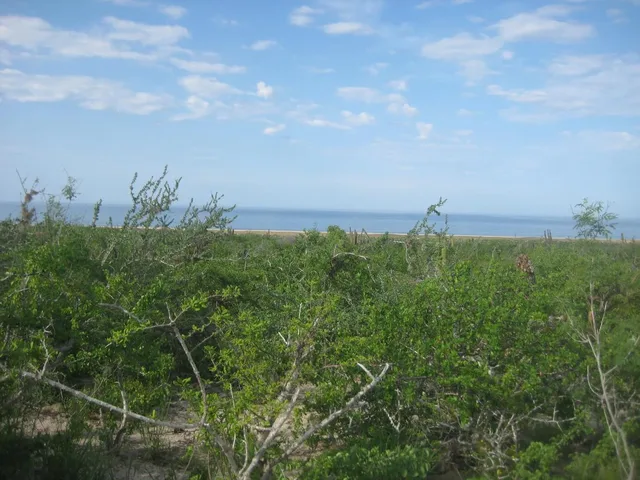 Ocean Views at Las Playitas Lots 4 &5 in Las Playitas